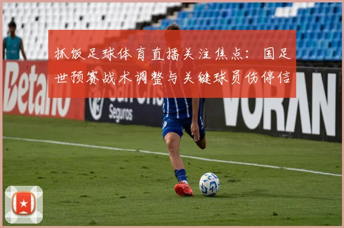 抓饭足球体育直播关注焦点:国足世预赛战术调整与关键球员伤停信息更新
